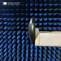 Apvienot antenu ar 4G un WLAN antena WH-4G-2.4-5.8GHz-D3 