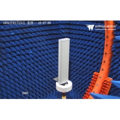 LoRaWAN 5G vairāku antenu